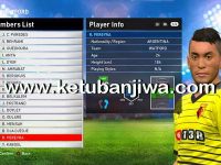 PES 2016 PES Professionals v4.2 Transfer Update PES 2016 Option File Transfer Update 22 August 2016 For PES Professionals 4.2 Ketuban Jiwa
