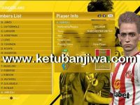 PES 2016 PTE 6.0 Transfer Update 6.0 by Niniboy Ketuban Jiwa