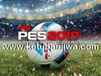 PES 2017 FMODS Pitch v1 + Details Pack by Fruits Ketuban Jiwa
