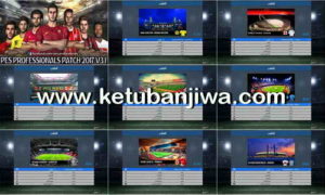 Download PES 2017 New Preview Stadium For Professionals Patch by Tamer Gaad Ketuban Jiwa