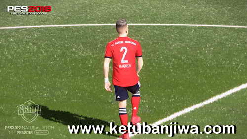 PES 2018 Natural Pitch + Turf + 3D Grass Like PES 2019 by EgaOi Ketuban Jiwa SS1