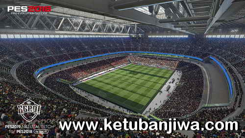 PES 2018 Natural Pitch + Turf + 3D Grass Like PES 2019 by EgaOi Ketuban Jiwa SS3