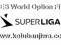 PES 2019 Danish Superliga Option File For PS4 by PES World ketuban Jiwa