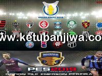 PES 2019 PS4 Brasileirão Option File by Emerson Pereira Ketuban Jiwa