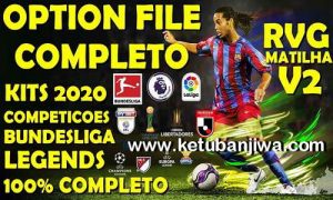 PES 2020 RVGRAPHA Option File v2 AIO Full Bundesliga For PC + PS4 Ketuban Jiwa