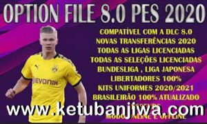 eFootball PES 2020 Falcon12 Option File Compatible DLC 8.00 For PC Ketuban Jiwa