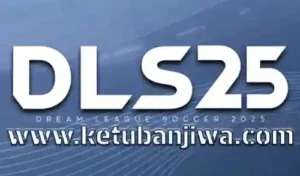 DLS 2019 Mod 2025 Offline Apk For Android kETUBAN jIWA
